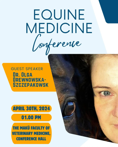 Equine Medicine