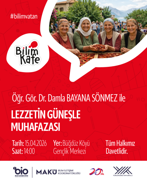 Lezzetin Güneşle Muhafazası