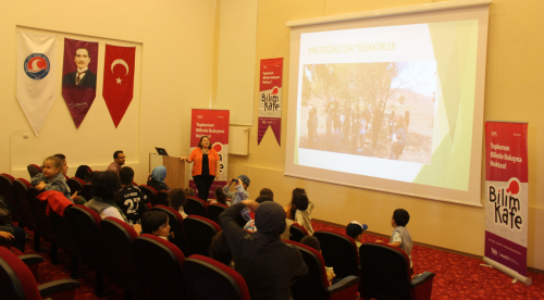 Orman Okulu Yaklaşımı