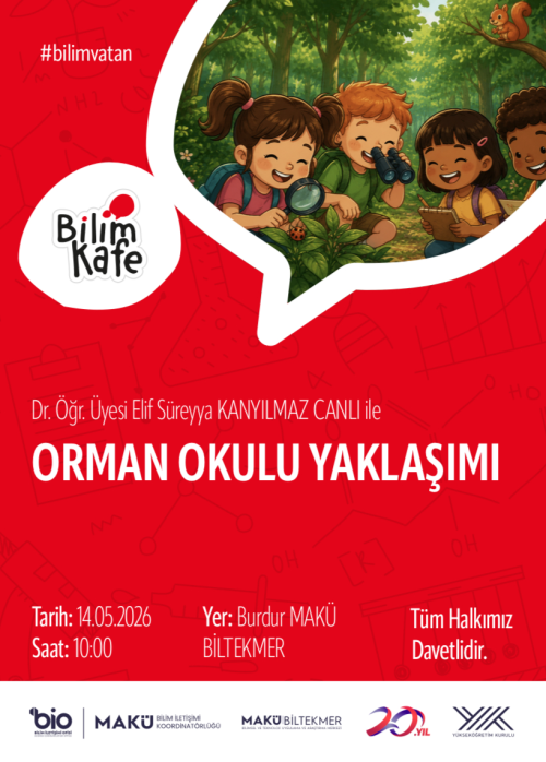 Orman Okulu Yaklaşımı