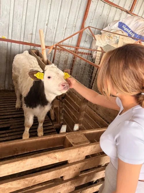 Academic Field Visit to Babacan Cattle Farm in Senir Town of Isparta by Students of the Laboratory and Veterinary Health Program