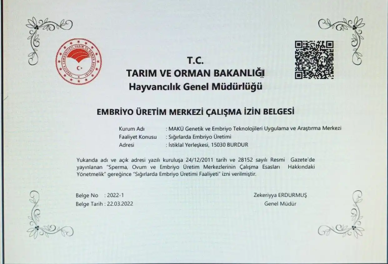 Resim
