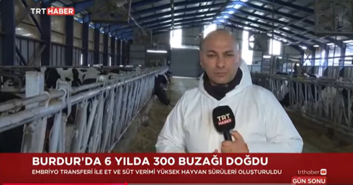TRT HABER - Hayvancılıkta Embriyo Transferi